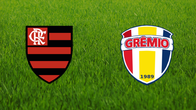 CR Flamengo vs. Grêmio Barueri