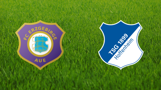 Erzgebirge Aue vs. TSG Hoffenheim