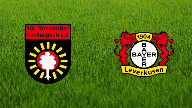 Sonnenhof Großaspach vs. Bayer Leverkusen